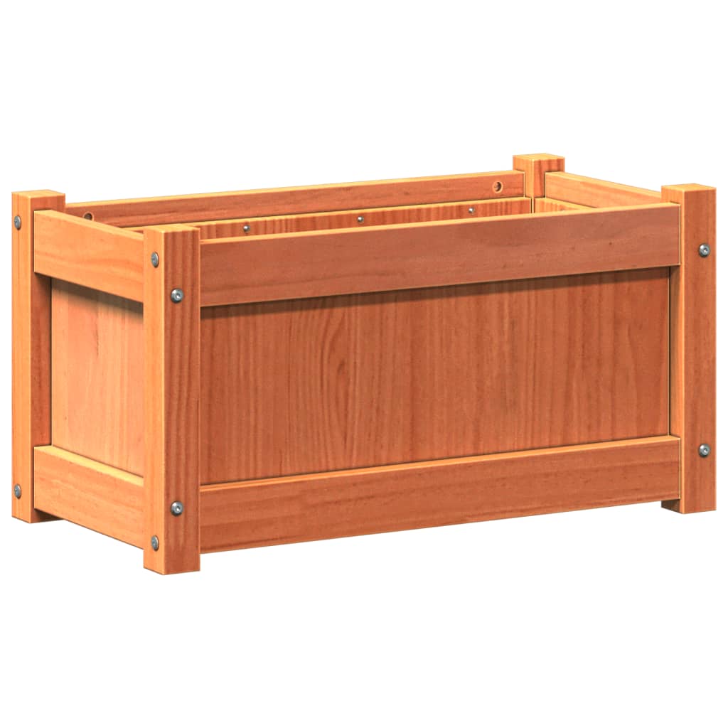 Odlingslåda vaxbrun 60x31x31 cm massiv furu