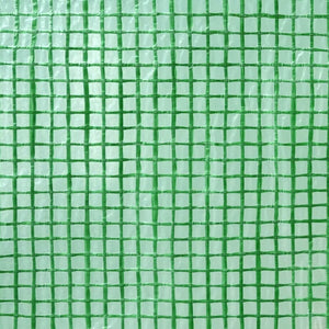 Växthus med tak med lagring Grön 200 x 200 x 300 cm Järn