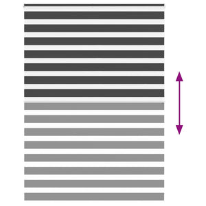 Rullgardin zebra svart 160x200 cm tyg bredd 155,9 cm polyester