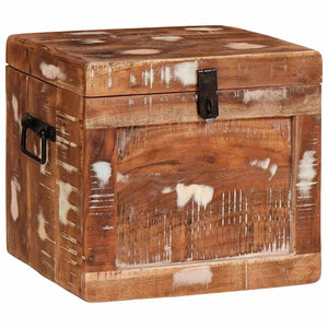 Förvaringslåda med lagring med dörr Brun Massivt mangoträ