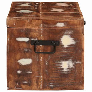 Förvaringslåda med lagring med dörr Brun Massivt mangoträ