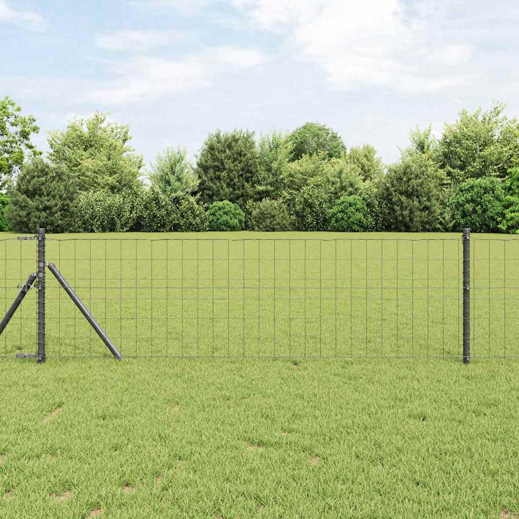 Eurogärdsel Grå 0,8 x 25 m PVC-belagt järn