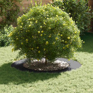 lämplig för Flat Trädringar 5 pcs Antracit Ø60 / 90 cm Stål