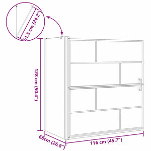 Duschskärm för Bad Svart och Transparent 116 x 68 x 128 cm