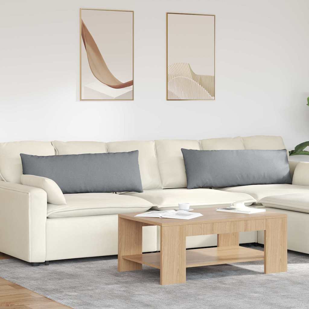 Sofakuddar 2 st tyg Ljusgrå 120 x 40 cm