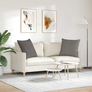 Sofakuddar 2 pcs Ljusgrå 60 x 60 cm Kordread tyg