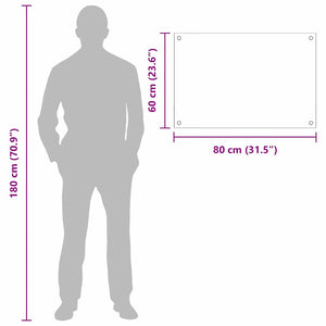 Köksplånbak 2 pcs Transparent 80 x 60 cm härdat glas