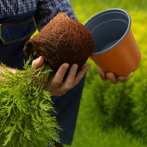 Blomkruka 100 pcs Keramik Ø 15 x 13 cm Plast