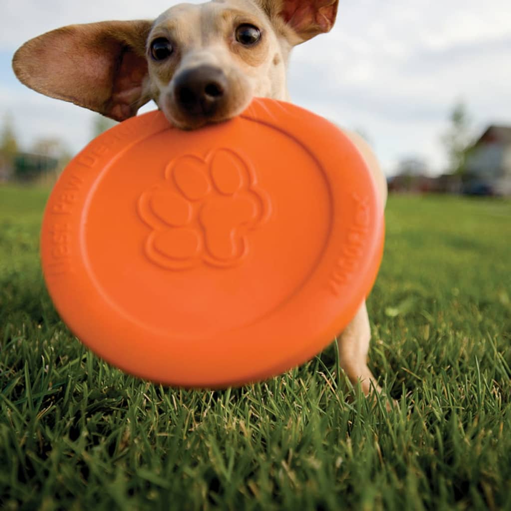 Zogoflex Hundfrisbee Zisc storlek L orange 1937