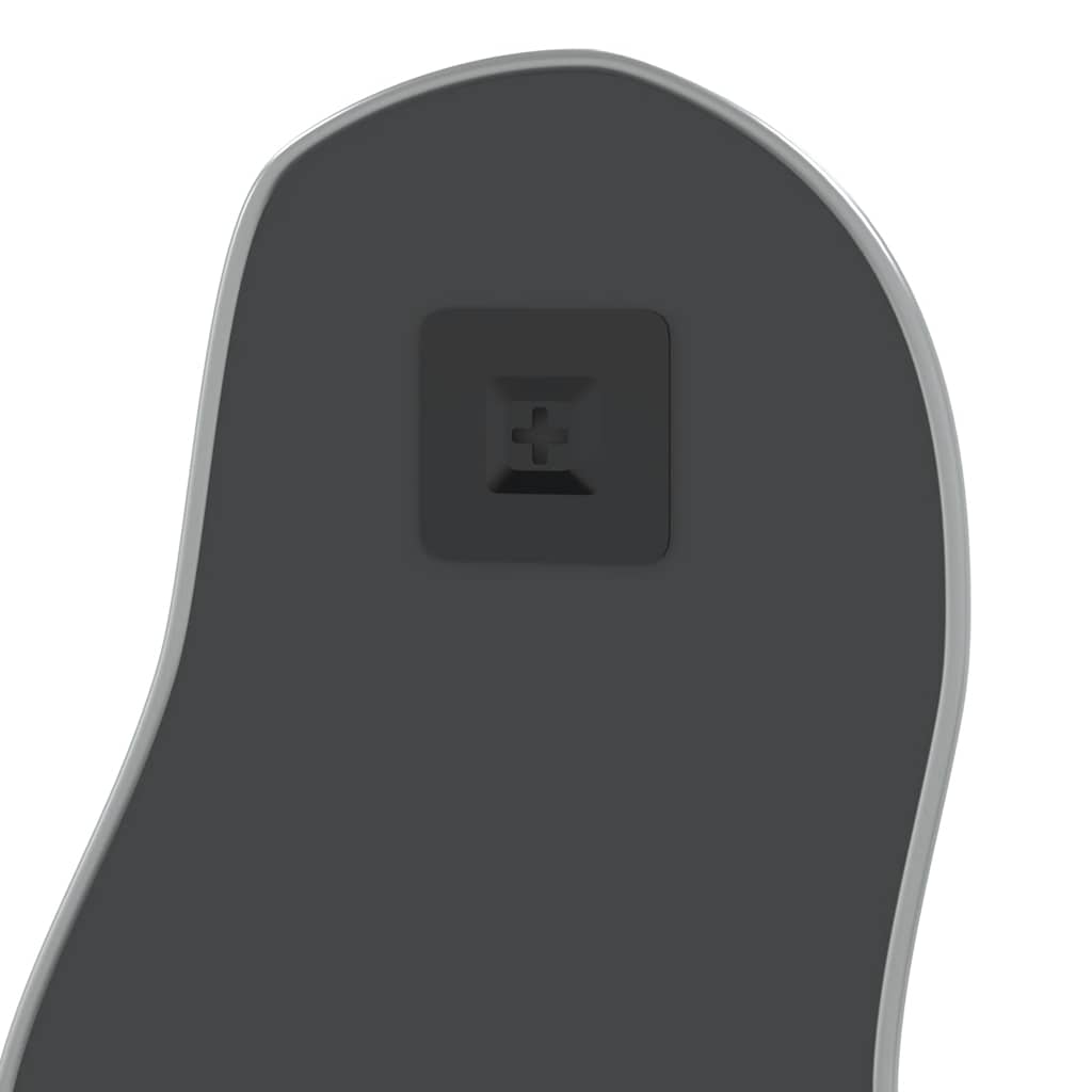 Väggspegel silver 70x30 cm