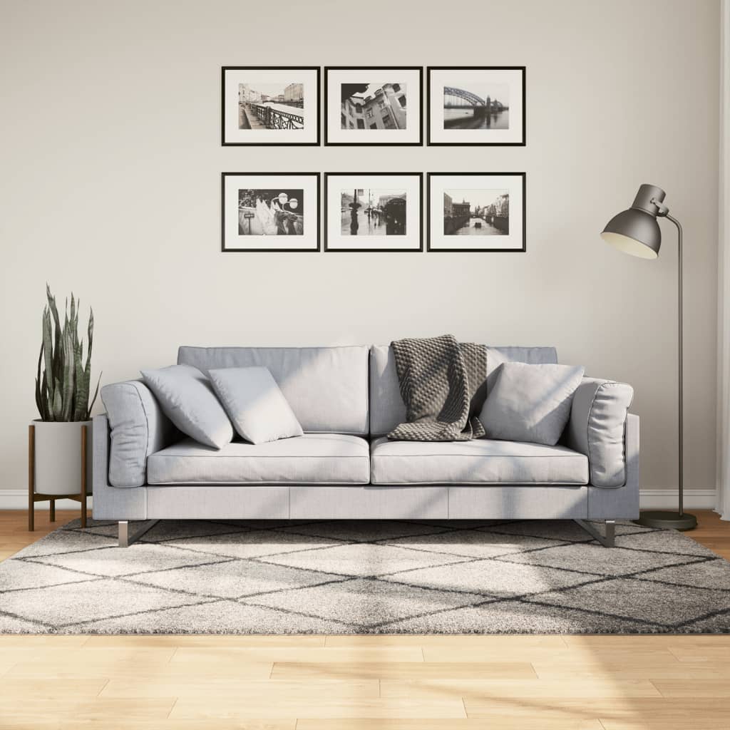 Ryamatta PAMPLONA lång lugg modern beige & antracit 140x200 cm