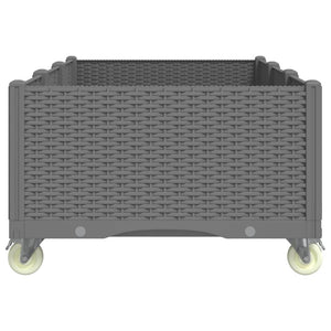 Odlingslåda med spaljé ljusgrå 150x80x54 cm PP