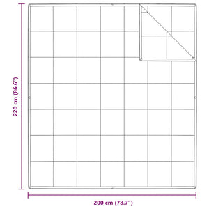 2-i-1 Duntäcke Vit 200 x 220 cm Fjäder