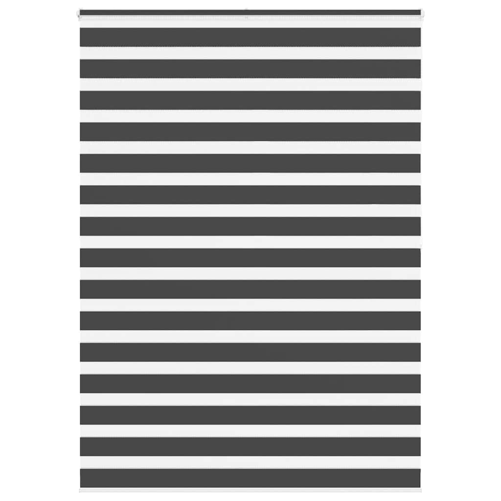 Rullgardin zebra svart 160x200 cm tyg bredd 155,9 cm polyester