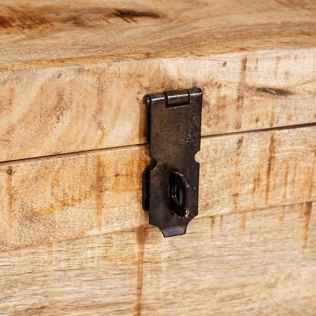 Förvaringslåda med lagring med dörr Brun Massivt mangoträ