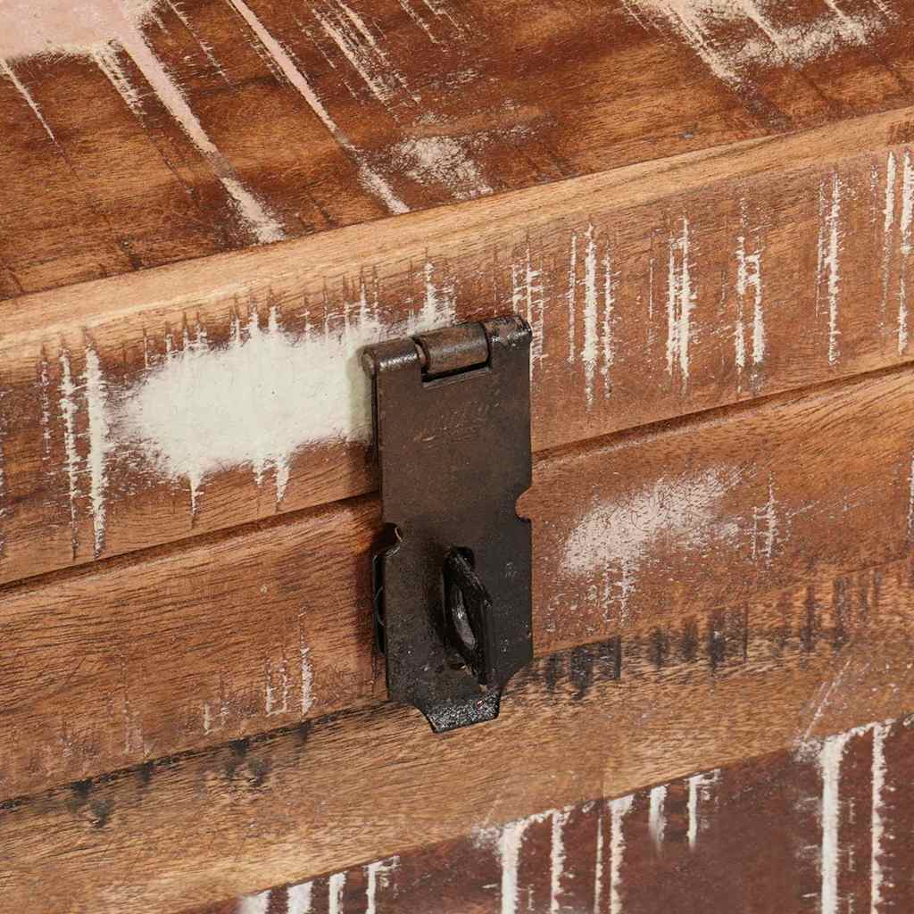 Förvaringslåda med lagring med dörr Brun Massivt mangoträ