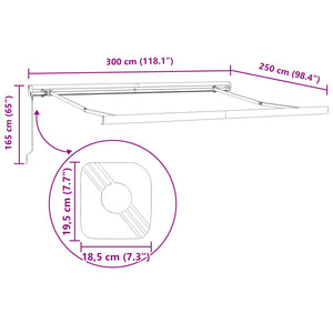 Utfällbar markis Svart 300 x 250 cm Tyg och Metall