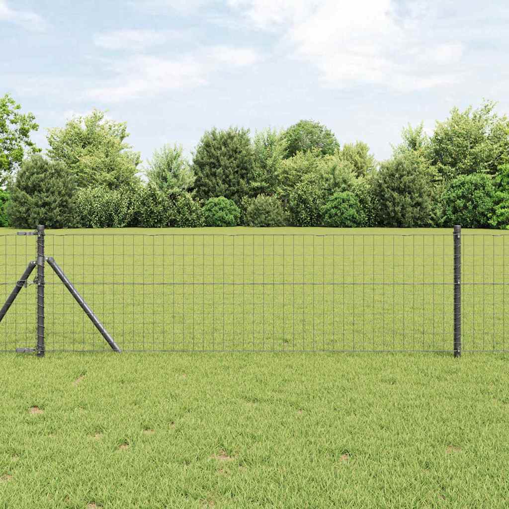 Eurogärdsel 0,6 x 50 m PVC-belagt järn Grå
