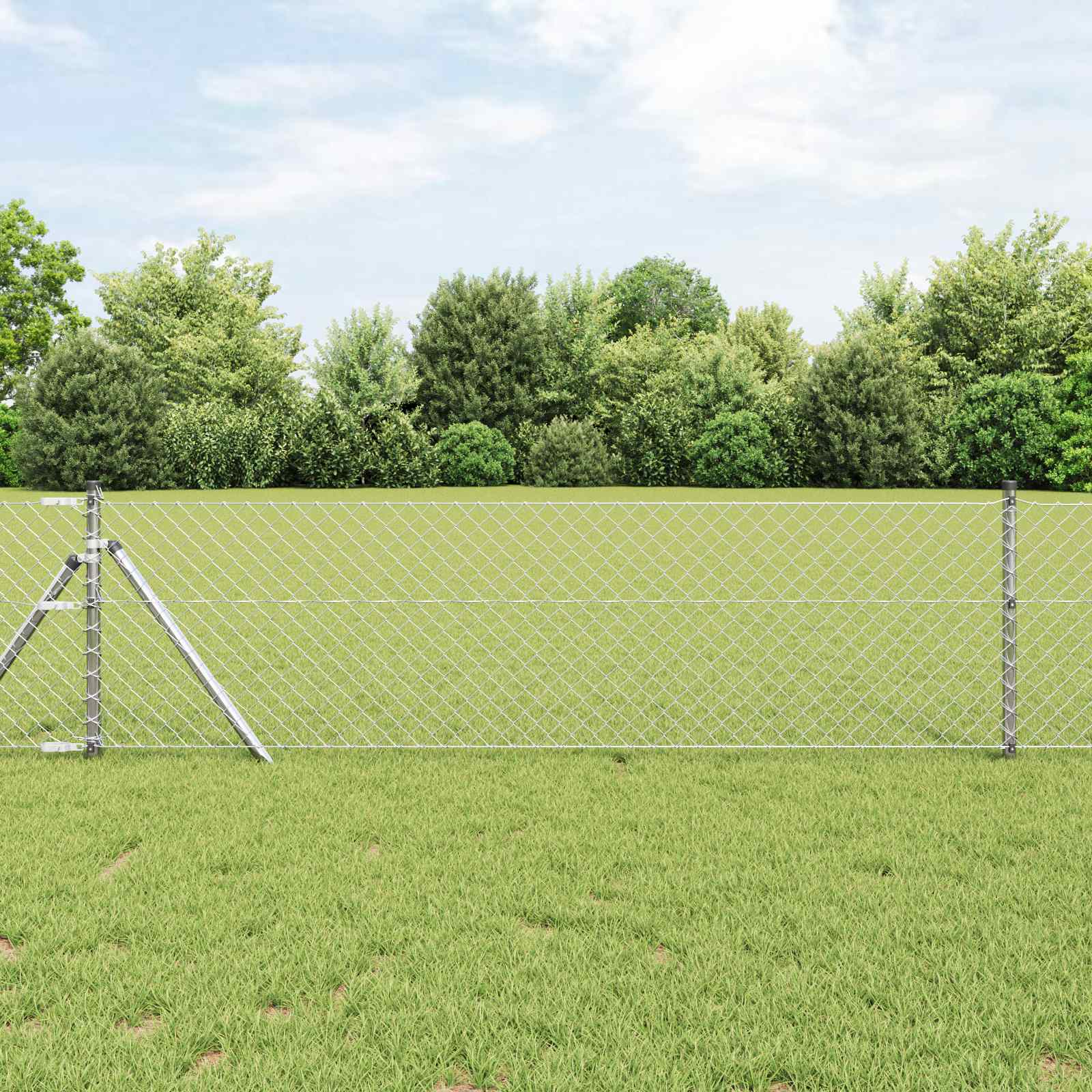Kedjelänk Stängsel 10 x 0,8 m Galvaniserat stål Silver
