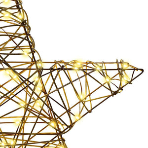 3D Stjärna med 50 LED-lampor Varmvit 55 x 52,5 x 9 cm Rotting