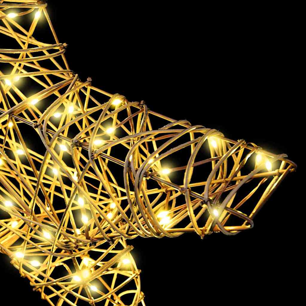 3D Stjärna med 50 LED-lampor Varmvit 55 x 52,5 x 9 cm Rotting